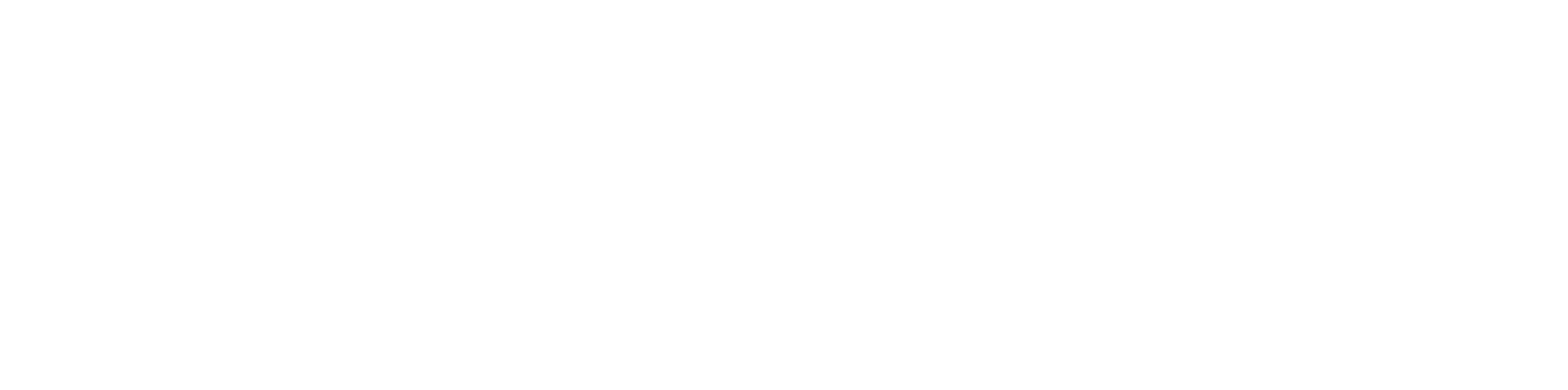 Valve Check Inc
