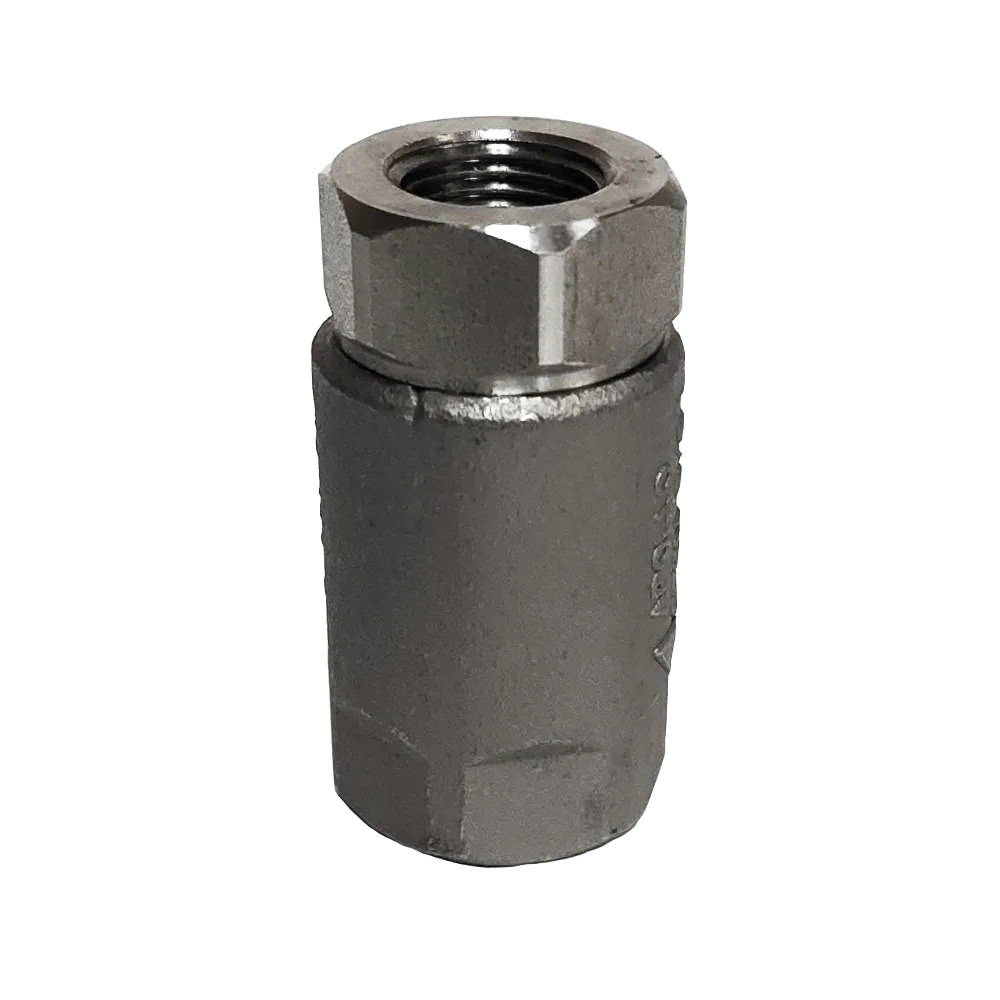 1 Vertical Check Valve,Female WOG1000 304 Stainless Steel Npt Spring Loaded In Line Low Cracking Pressure Cf8m